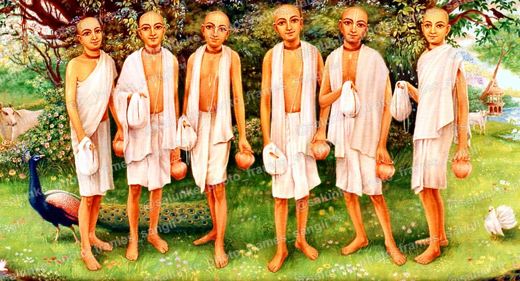 6 goswami.jpeg