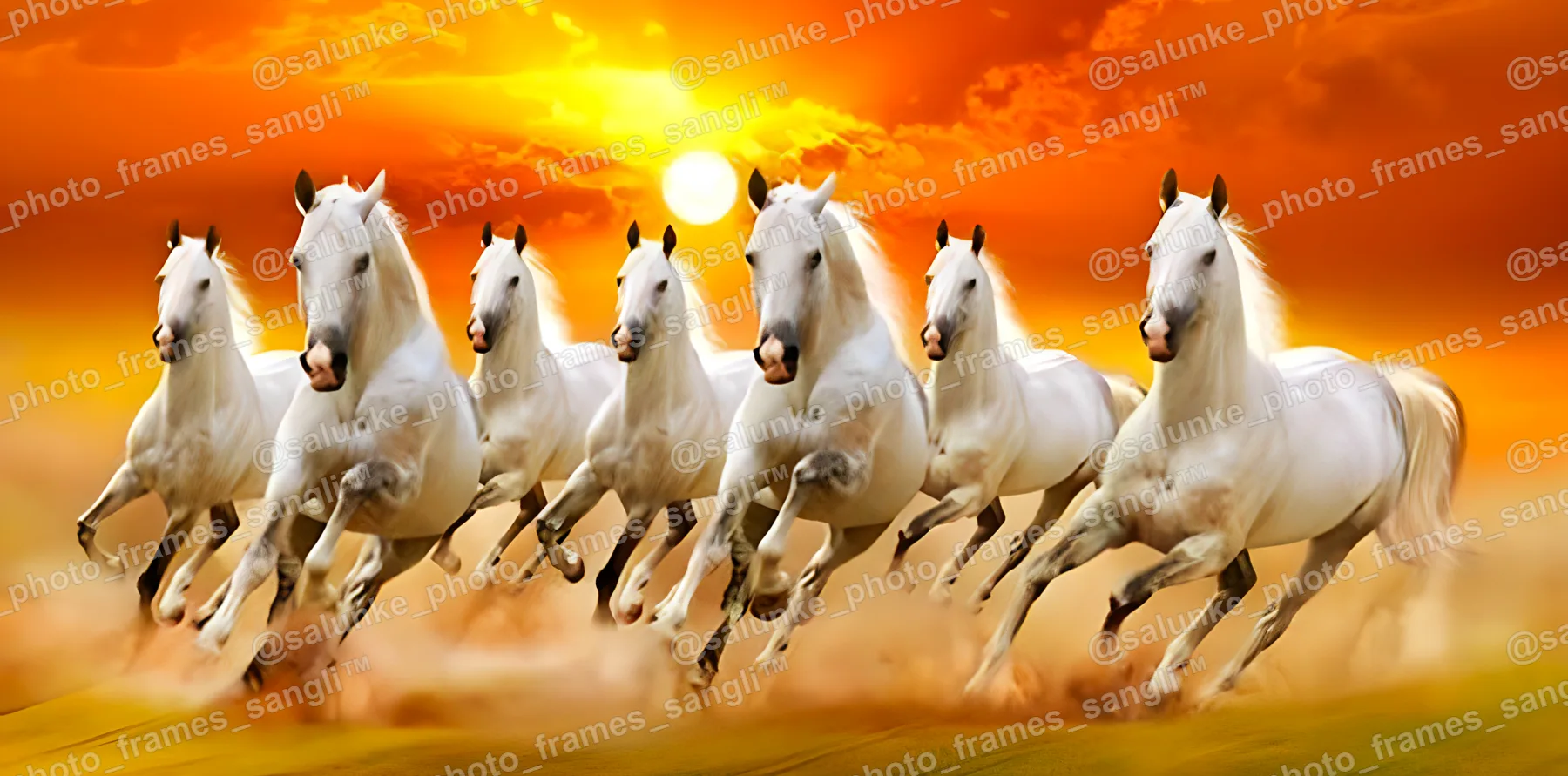 12X24-4-PP ONLY.jpg