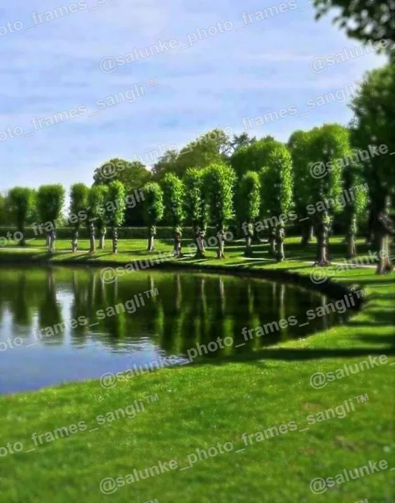 200fc500cd48fc854c1637201dede0f9.jpg